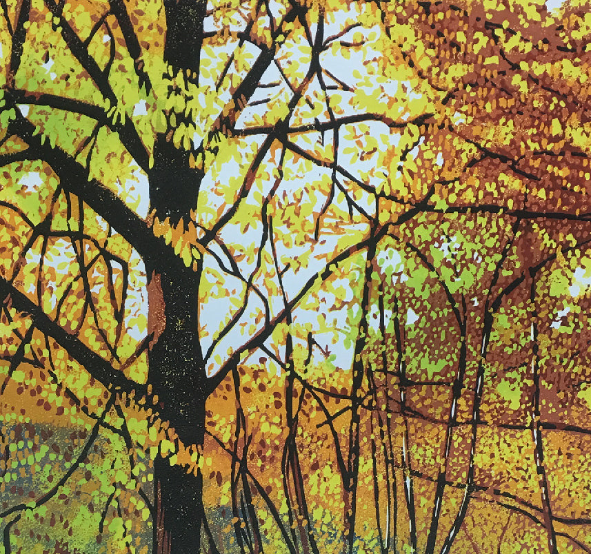Linocut Workshop 23rd November – Hazel McNab