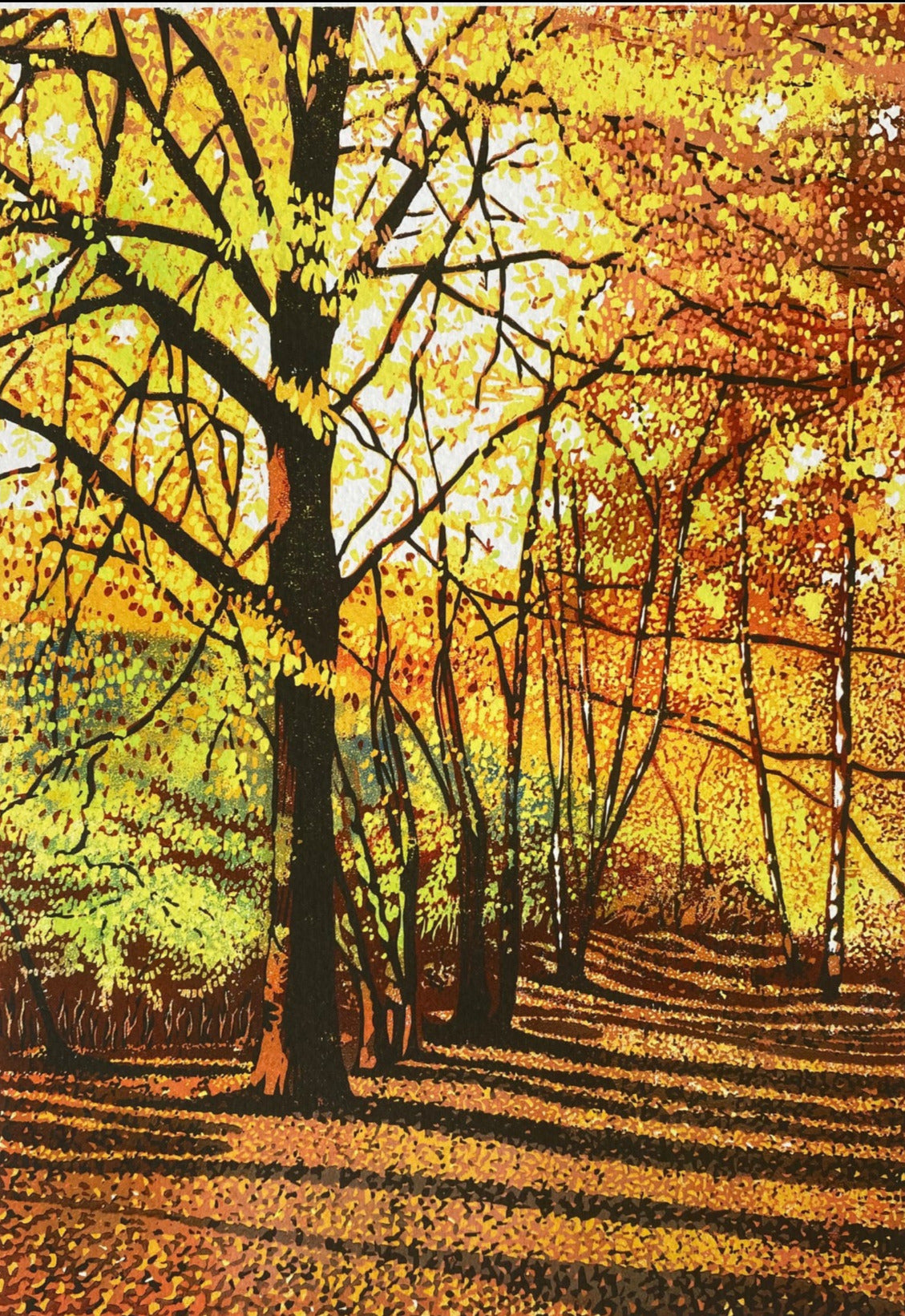 giclee print - Shropshire Woodland