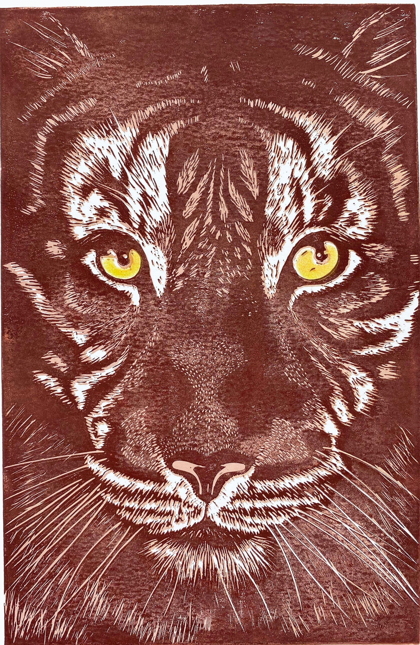 Tiger brown