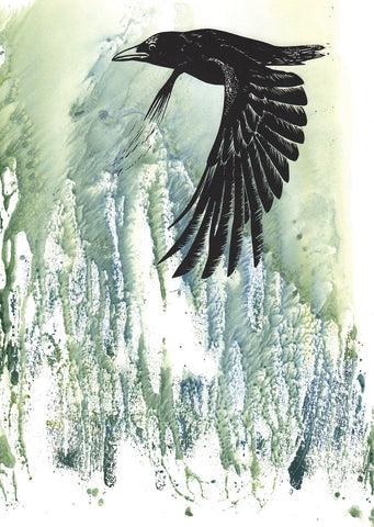 Mountain crow