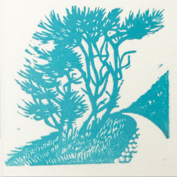 Mini Print - Loe Bar, Pines