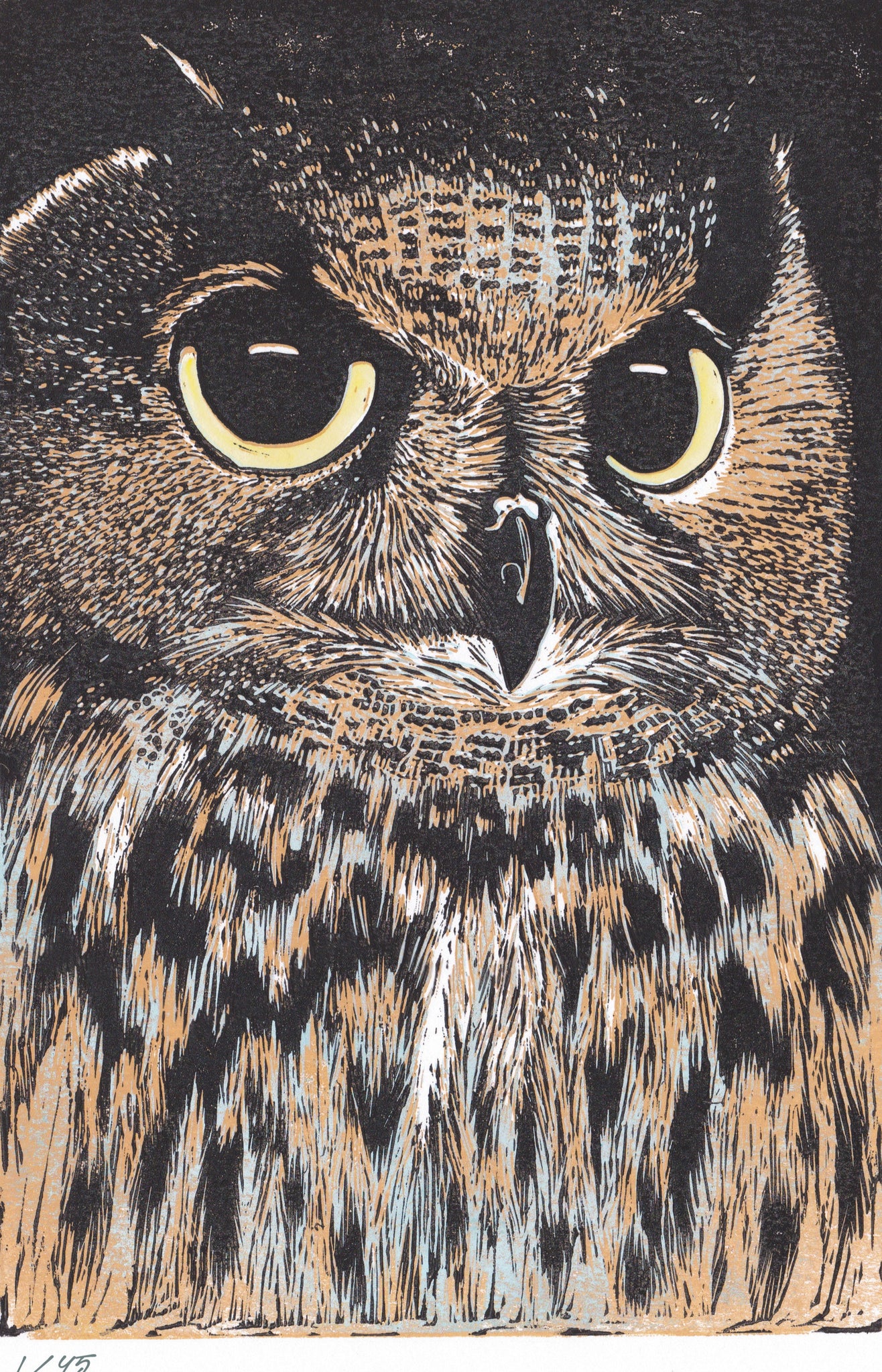 Owl 1/45