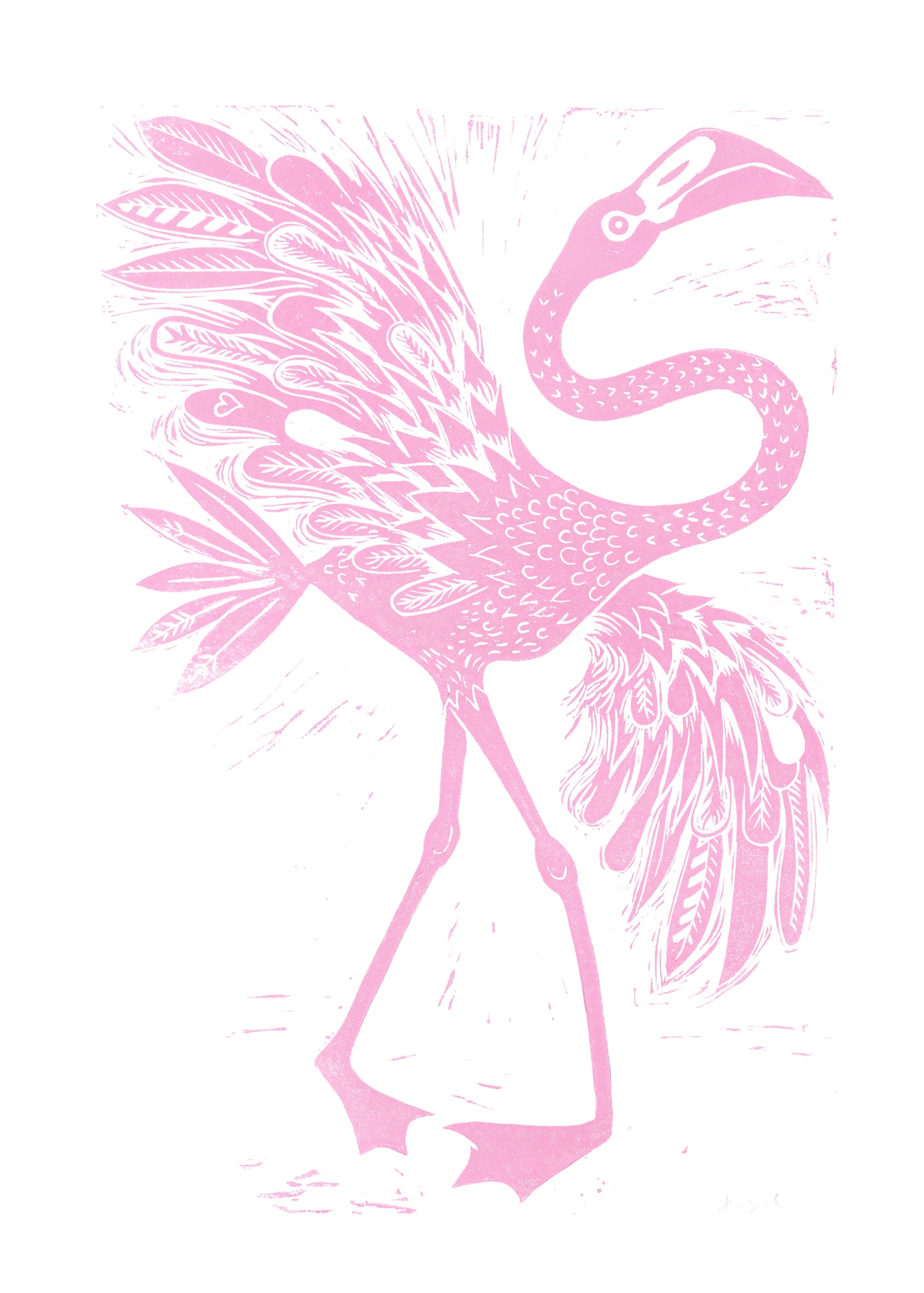 Flamingco