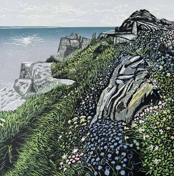 Wild flowers at Zennor