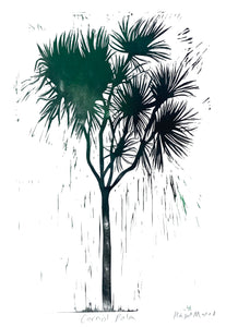 Cornish Palm