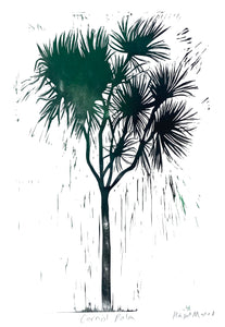 Cornish Palm
